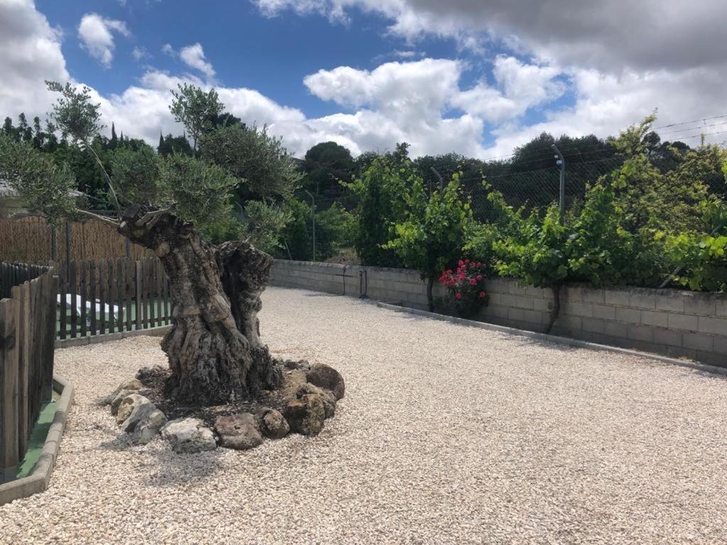 Casa De Campo Patricia Priego de Córdoba Exteriör bild